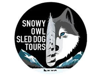 Snowy Owl Sled Dog Tours